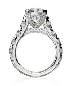 Michael M Ring R732-2