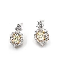 14K White Gold Fancy Yellow & White Diamond Drop Earrings