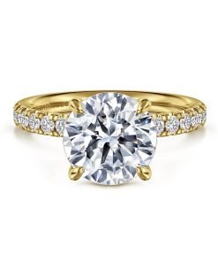 Gabriel & Co. 14K Yellow Gold 1/2 Way Round Center Engagement Ring ER16572R12Y44JJ